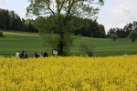 Tag des Wanderns 2016_29