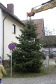 Aufstellen Weihnachtsbaum