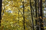 Herbst in Plech und Umgebung